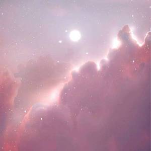 男男做视频孩儿
